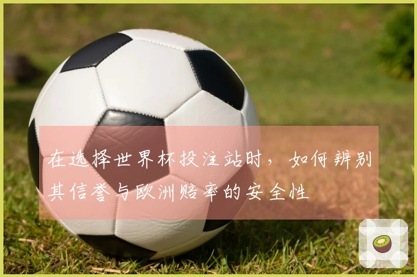 在选择世界杯投注站时，如何辨别其信誉与欧洲赔率的安全性