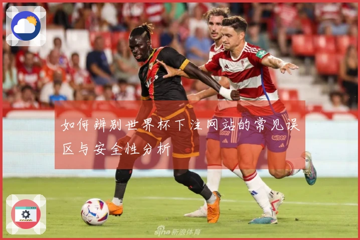 如何辨别世界杯下注网站的常见误区与安全性分析