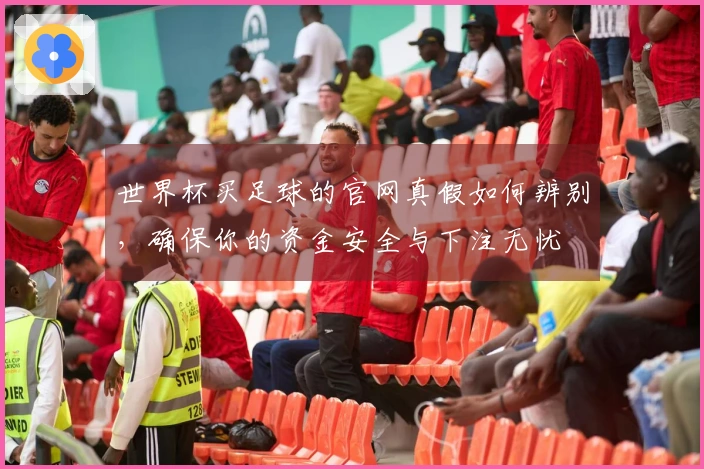 世界杯买足球的官网真假如何辨别，确保你的资金安全与下注无忧