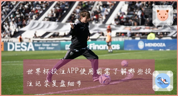 世界杯投注APP使用前需了解哪些投注记录复盘细节