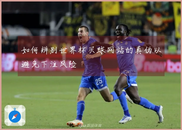 如何辨别世界杯买球网站的真伪以避免下注风险