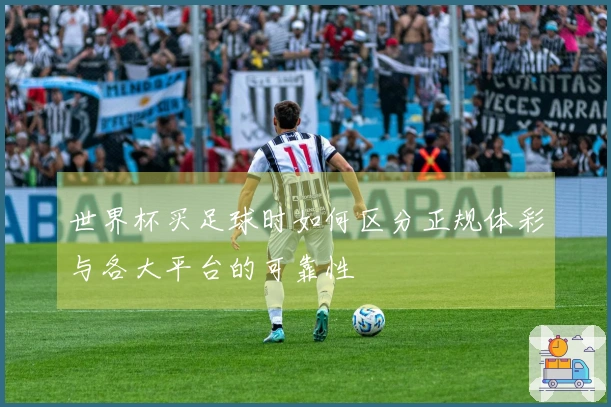 世界杯买足球时如何区分正规体彩与各大平台的可靠性