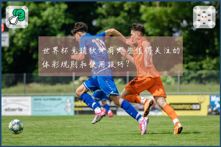 世界杯竞猜软件有哪些值得关注的体彩规则和使用技巧？