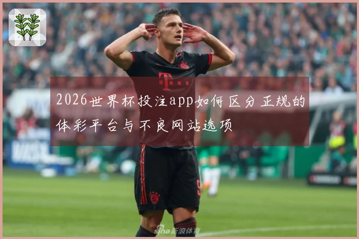 2026世界杯投注app如何区分正规的体彩平台与不良网站选项