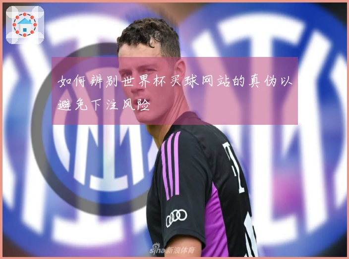 如何辨别世界杯买球网站的真伪以避免下注风险